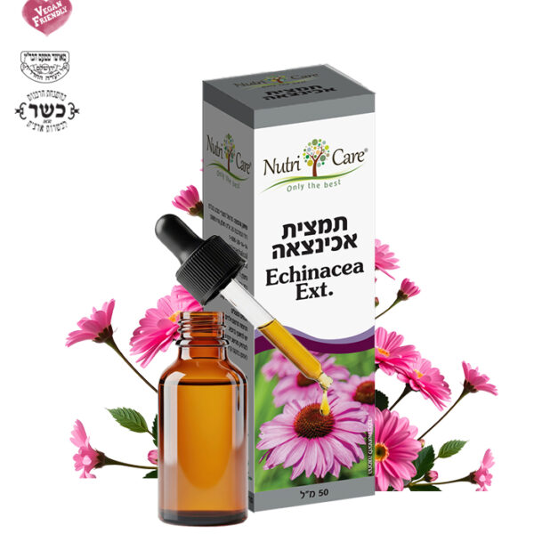אכינצאה תמצית