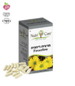 חרצית ריחנית