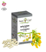 Astragalus capsules