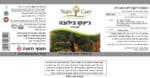 ⁦ג'ינקו בילובה⁩ – תמונה ⁦2⁩