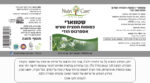 ⁦אספרגוס הודי - שטאוורי⁩ – תמונה ⁦2⁩